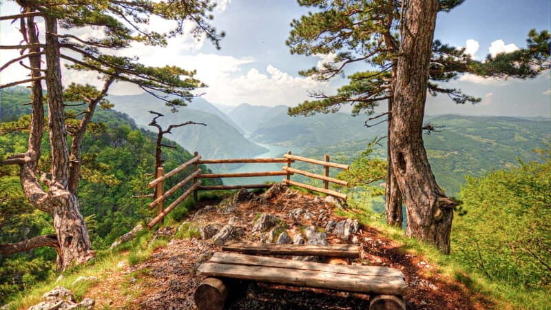 Serbia: Drina River House & Tara National Park Full Day Tour - Who This Tour Is Perfect For