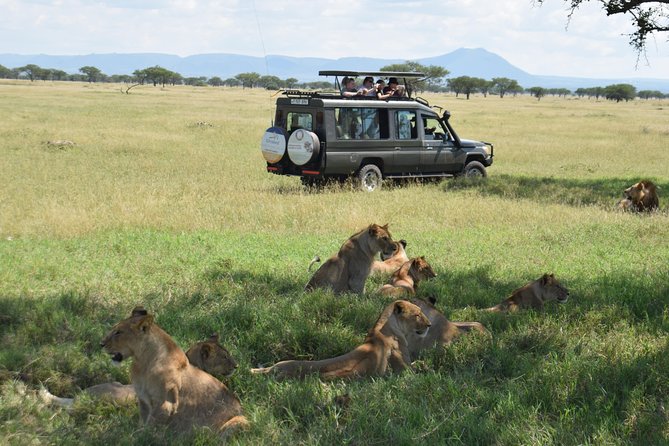 Serengeti Day Trip Safari From Mwanza Tanzania - Pricing and Cancellation Policy