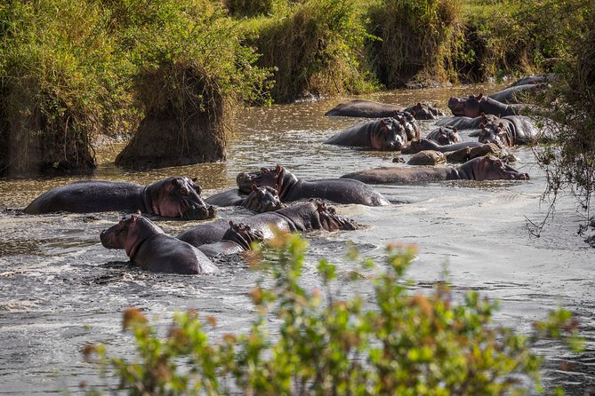 Serengeti & Ngorongoro 3 Days Private Tour - Inclusions and Amenities