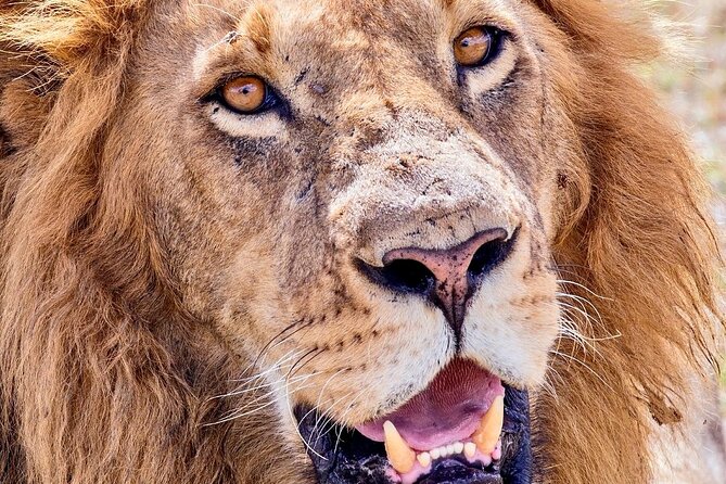 Serengeti , Ngorongoro & Tarangire - Packing and Preparation Tips