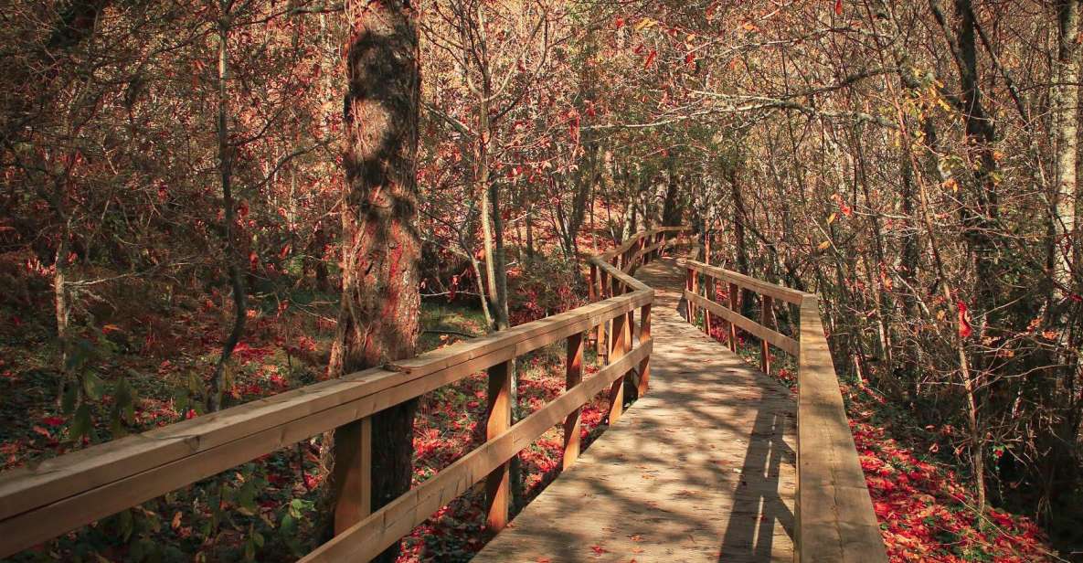 Serra Da Estrela: Valleys, Waterfalls, and Mysticism - Private Tour - Key Points