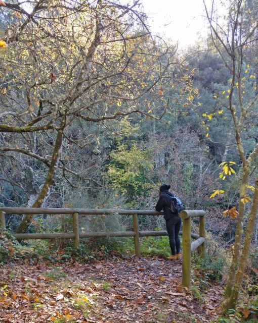 Serra Da Estrela: Valleys, Waterfalls, and Mysticism - Private Tour - Wine Tasting and Culinary Delights
