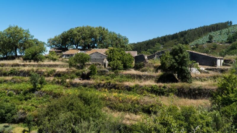 Serra de Monchique & Bravura Half Day Off-Road Day Trip - Final Thoughts: Is It For You?