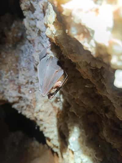 Serra dos Candeeiros: Alcobertas' Cave and the Natural Park - Practical Tips for Visitors