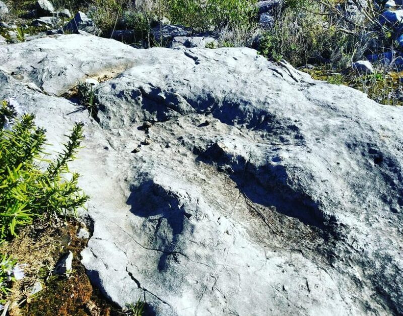 Serras de Aire e Candeeiros: Nature & Geology Exploration - An In-Depth Look at the Experience