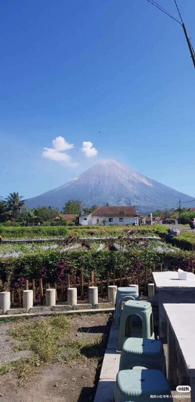 Serving Private tour Bromo-Ijen-tumpaksewu - Who Should Consider This Tour?