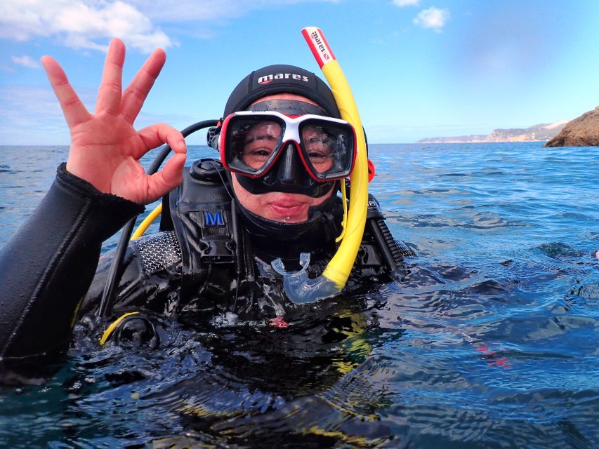 Sesimbra: Arrábida Marine Reserve Scuba Diving Experience - Discovering Shipwrecks and Corals