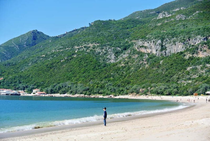 Sesimbra & Arrábida National Park Tour with 5 Wines Tasting - A Full Breakdown of the Experience