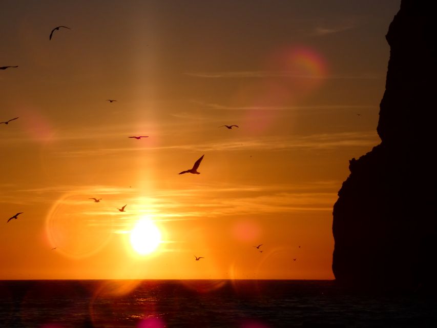Sesimbra: Arrábida Natural Park Cabo Espichel Sunset Tour - Booking Information