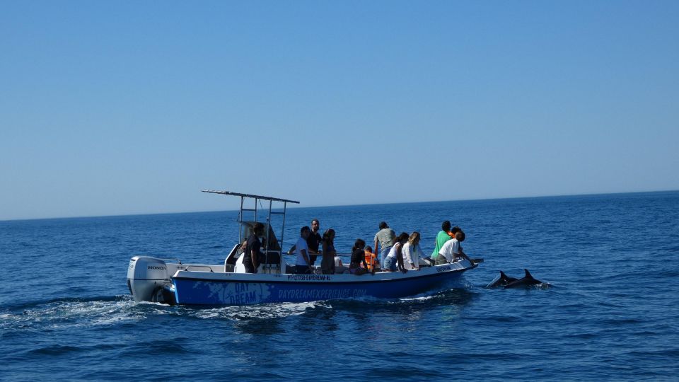 Sesimbra: Arrábida Natural Park Dolphin Watching With Biologist - Guided by a Marine Biologist