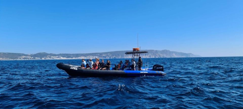 Sesimbra: Arrábida Natural Park Dolphin Watching With Biologist - STCW Certified Crew and Safety