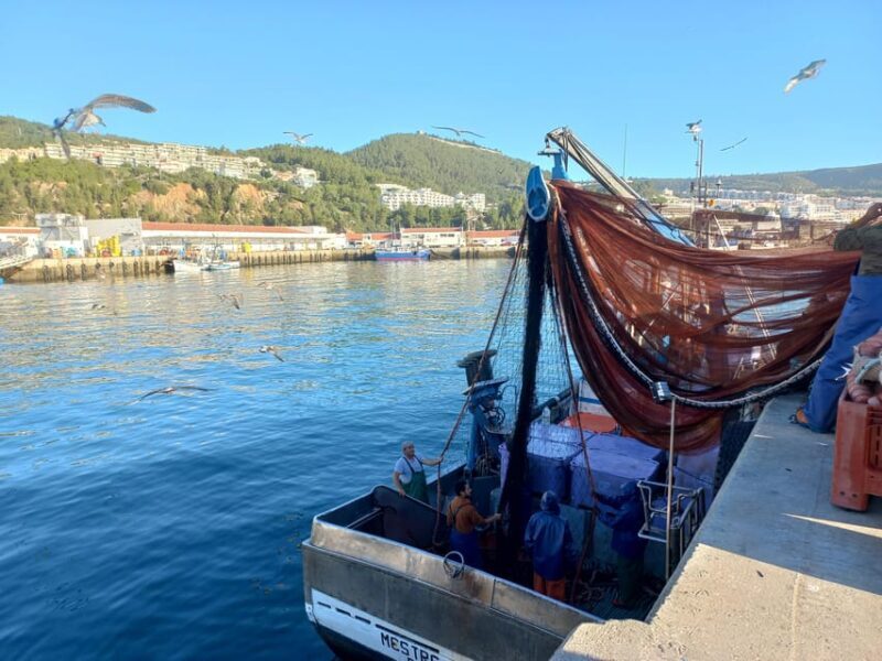 Sesimbra/Cabo Espichel/Aldeia do Meco Tour - Who Should Consider This Tour?