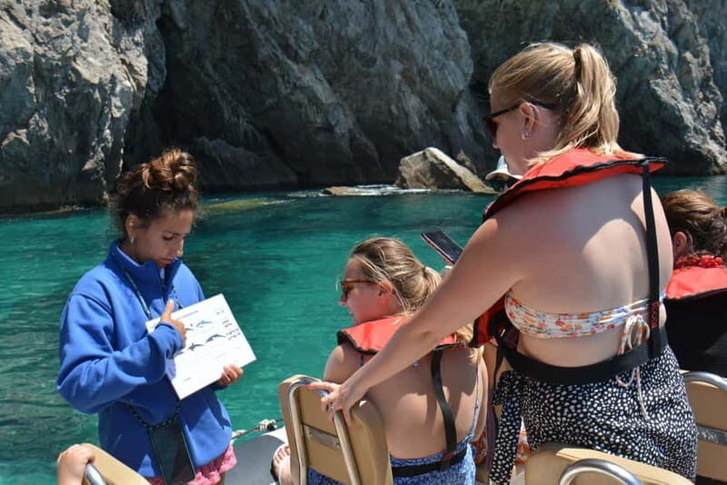 Sesimbra: Dolphin and Whales Watching with Biologist Guide - Introducing the Experience