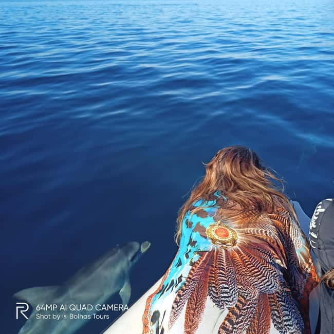 Sesimbra: Dolphin and Whales Watching with Biologist Guide - Frequently Asked Questions