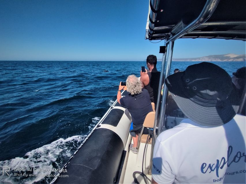 Sesimbra: Dolphin Watching Boat Tour With Biologist Guide - Diverse Cetacean Species