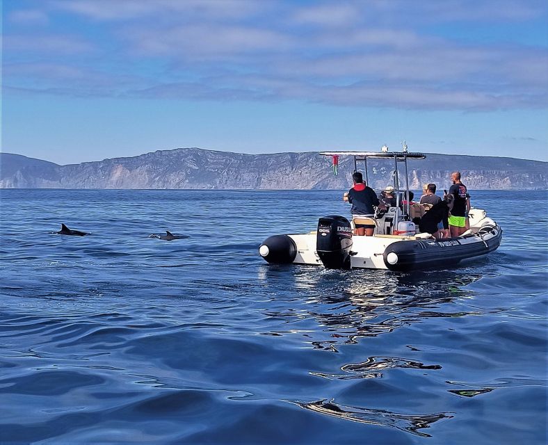 Sesimbra: Dolphin Watching Boat Tour With Biologist Guide - Eco-Friendly Practices