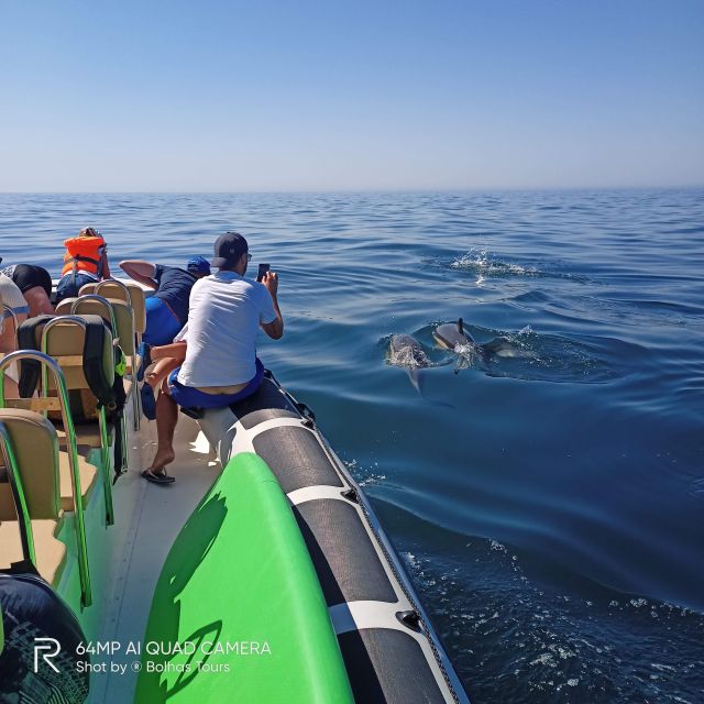 Sesimbra: Dolphin Watching Boat Tour With Biologist Guide - Frequently Asked Questions