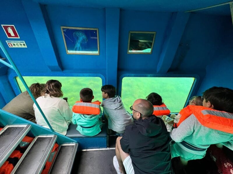 Sesimbra: Family Friendly Boat Sea Tour w/ Submarine Vision - FAQ