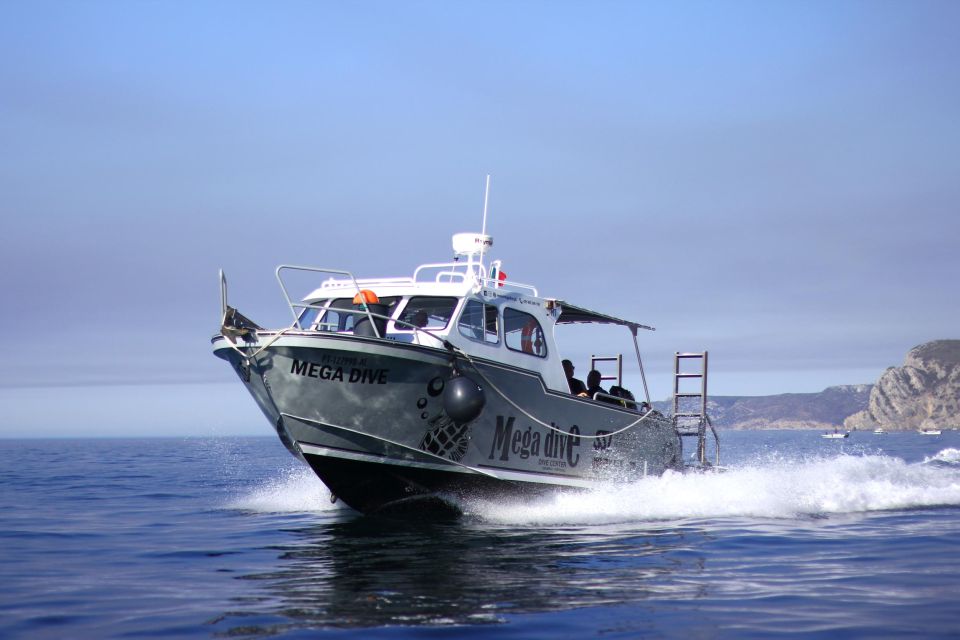 Sesimbra: Guided Dolphin Watching in Arrábida Natural Park - Safety Considerations