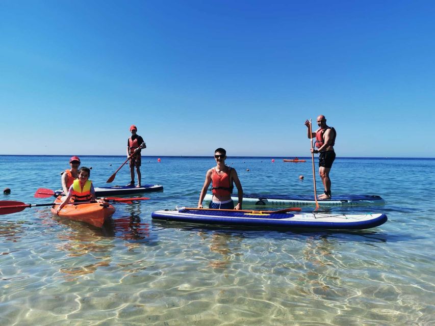 Sesimbra: Kayak Tour to Secret Beaches and Caves - Wildlife Viewing Opportunities