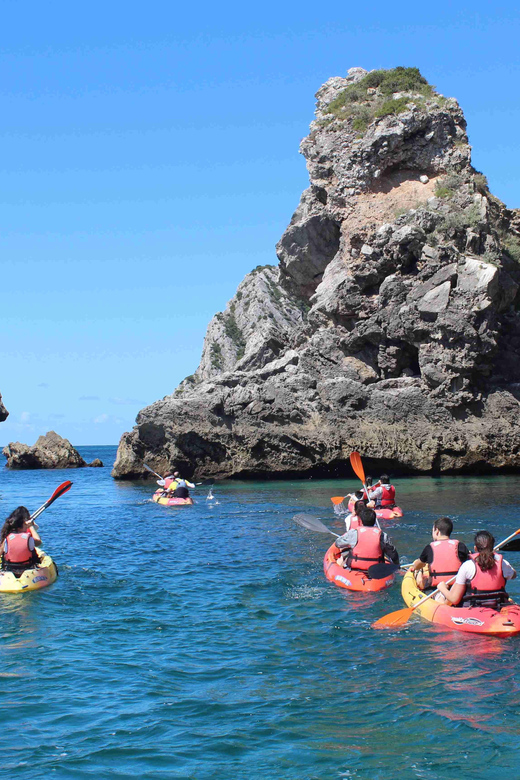 Sesimbra: Ribeiro Cavalo Beach, Caves, & Arrábida Kayak Tour - Participant Requirements