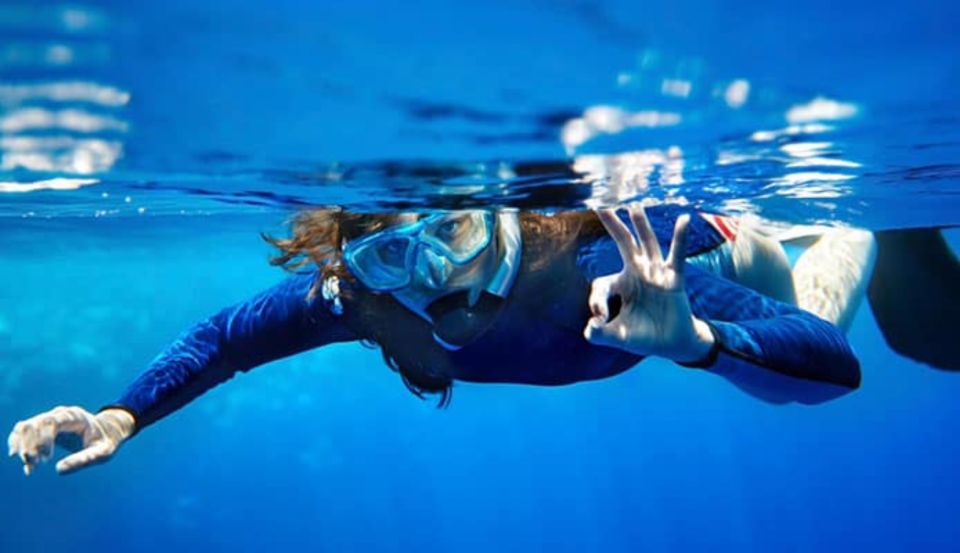 Sesimbra: Snorkeling in the Ocean - Frequently Asked Questions