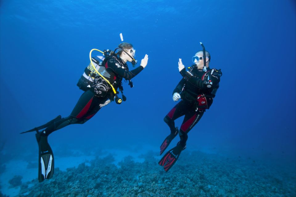 Sesimbra: Try Scuba Diving - Frequently Asked Questions