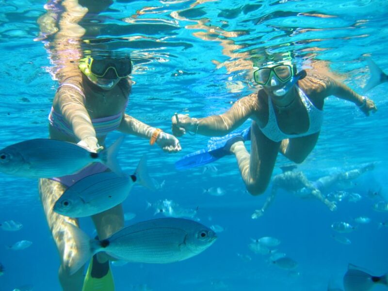 SEspalmador and Formentera: Snorkeling Trip by RIB Boat - Key Highlights of the Tour