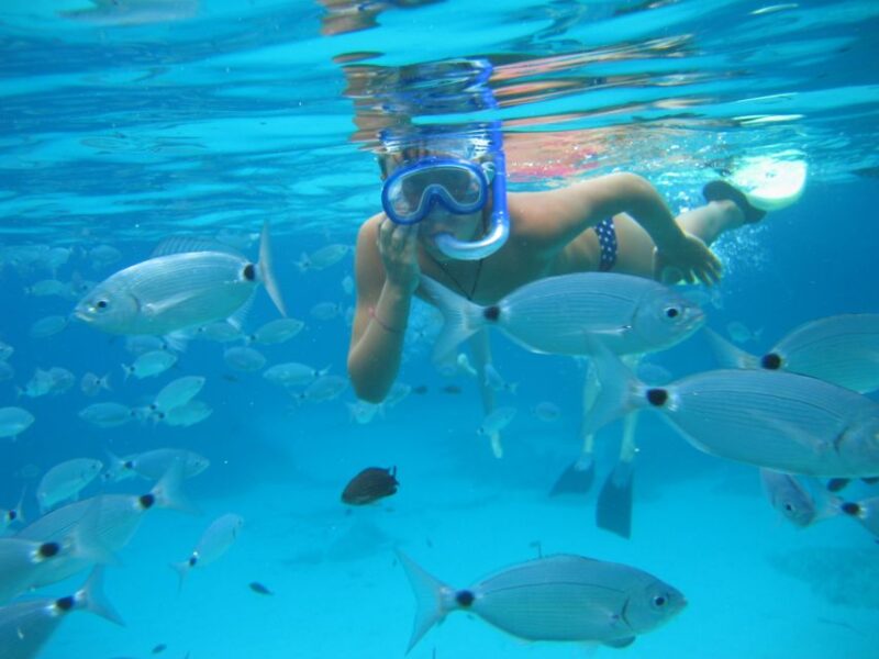 SEspalmador and Formentera: Snorkeling Trip by RIB Boat - Customer Feedback and Ratings