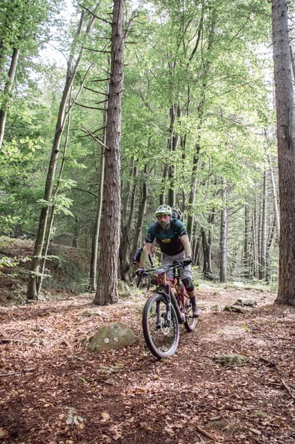 Sestri Levante: E-Bike Adventure among trails and breathtaking views - An Overview of the Experience