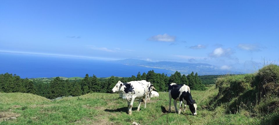 Sete Cidades Half Day Jeep Tour - Private - Offroad Adventure
