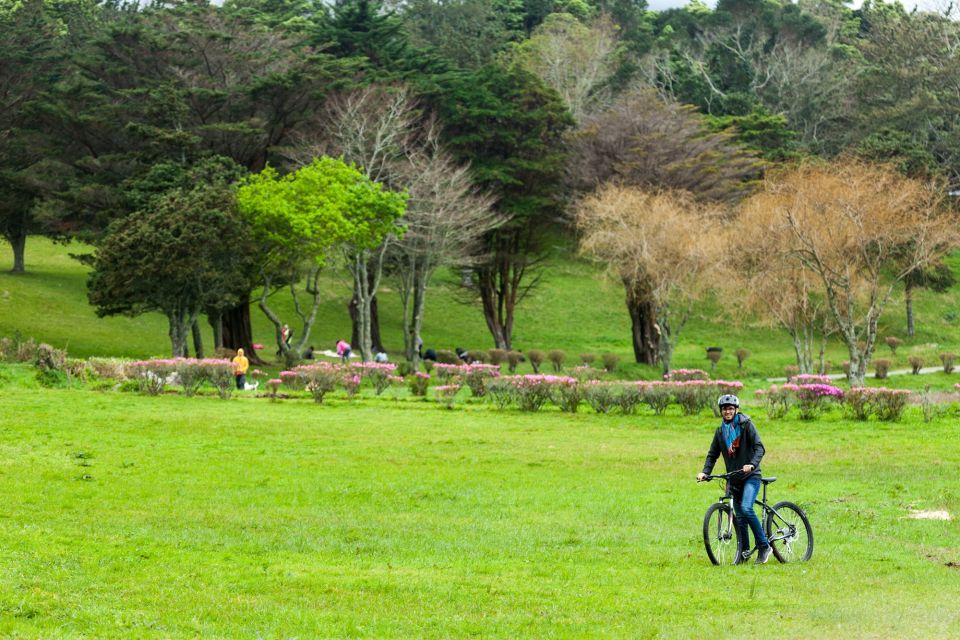 Sete Cidades: Kayaking and Biking Adventure - Availability and Booking