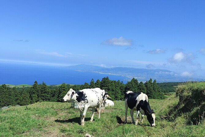 Sete Cidades on Jeep - Key Points