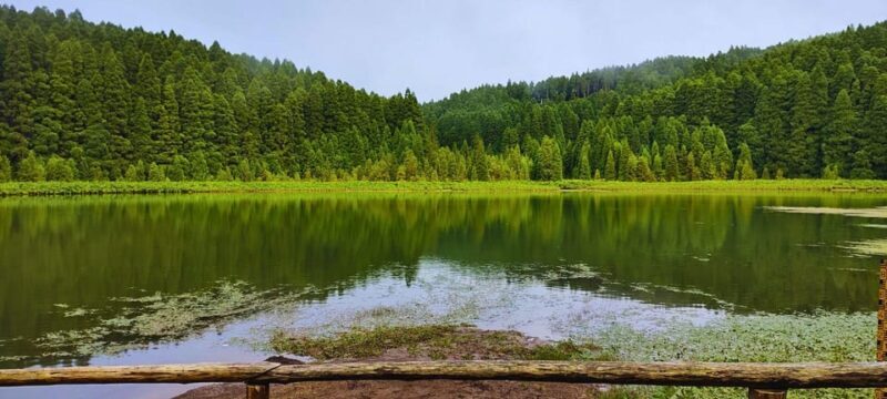 Sete Cidades: West Coast Tour (w/Lunch) - Coastal Marvels: Mosteiros and Its Dark Coast