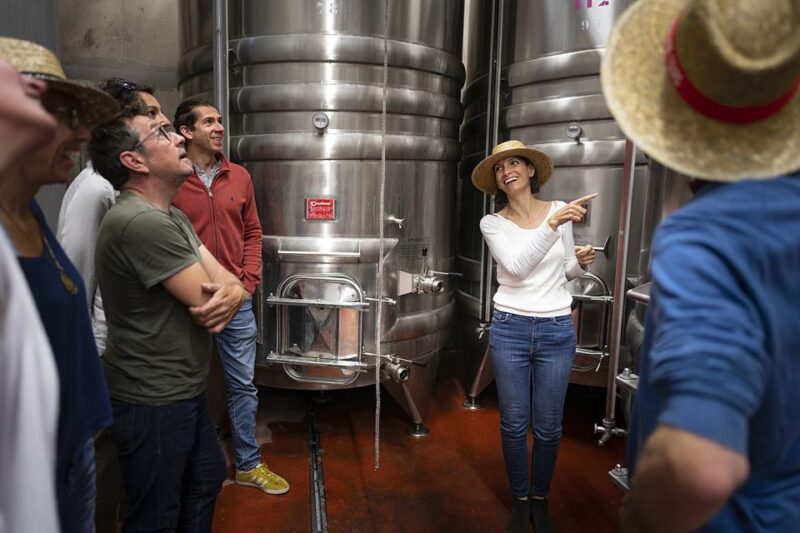 Sete: Private Wine and Oyster Tour With Tastings - Itinerary Details
