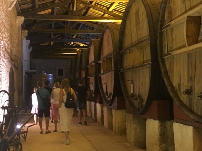 Sete: Private Wine and Oyster Tour With Tastings - Wine and Oyster Tastings
