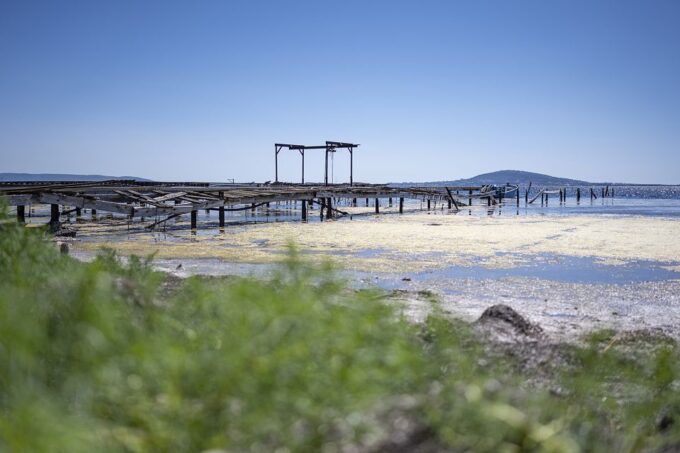 Sete: Private Wine and Oyster Tour With Tastings - Languages and Guide