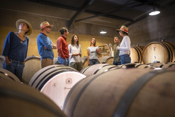 Sete: Private Wine and Oyster Tour With Tastings - Booking Information