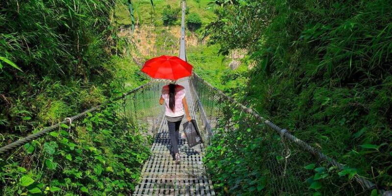 Seti George and Thrilling Suspension Bridge Tour at Pokhara - Why This Tour Offers Great Value