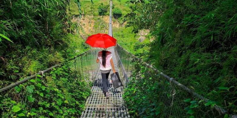 Seti George and Thrilling Suspension Bridge Tour at Pokhara - Who Will Love This Experience