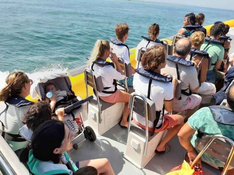 Setúbal and Tróia: Dolphin Watching and Arrábida Bays - A Deep Dive into the Experience
