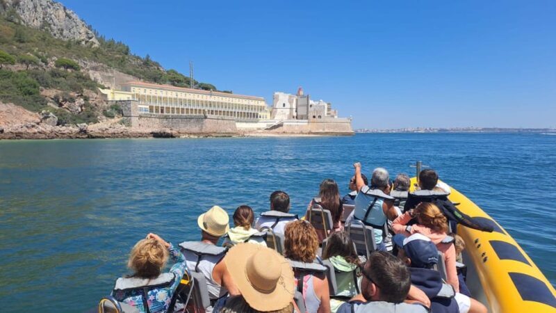 Setúbal and Tróia: Dolphin Watching and Arrábida Bays - The Sum Up