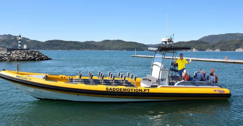 Setúbal and Tróia: Dolphin Watching and Arrábida Bays - FAQ