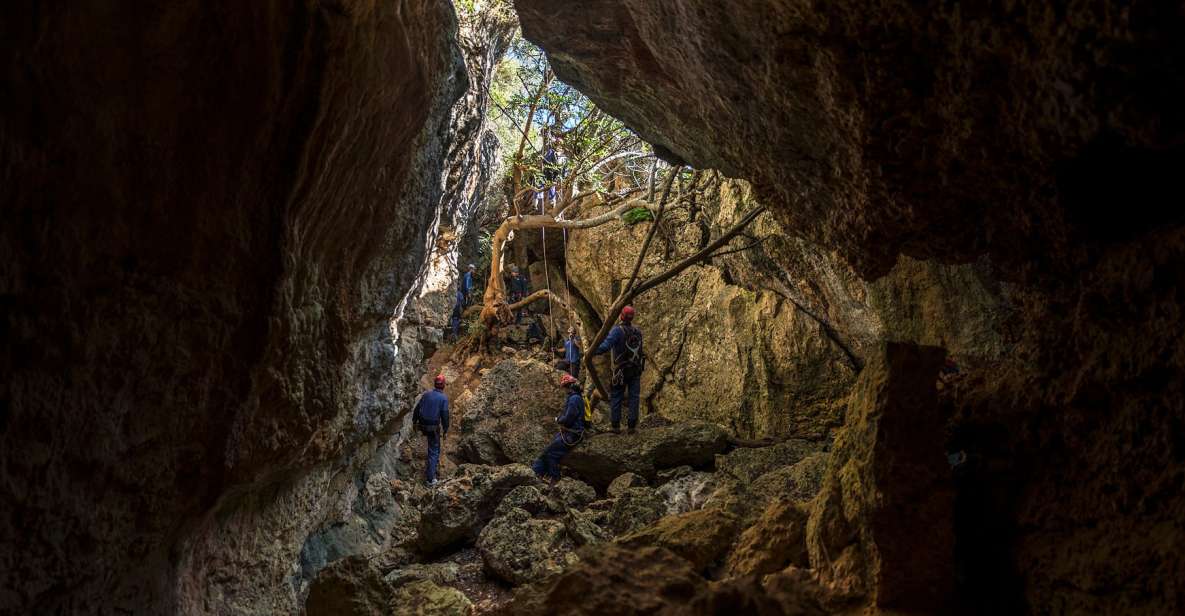 Setúbal: Arrábida Natural Park Adventure Circuit - Key Points