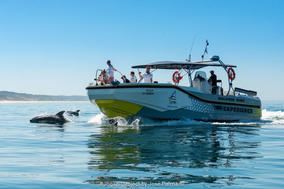 Setúbal: Dolphin Watching - Key Points