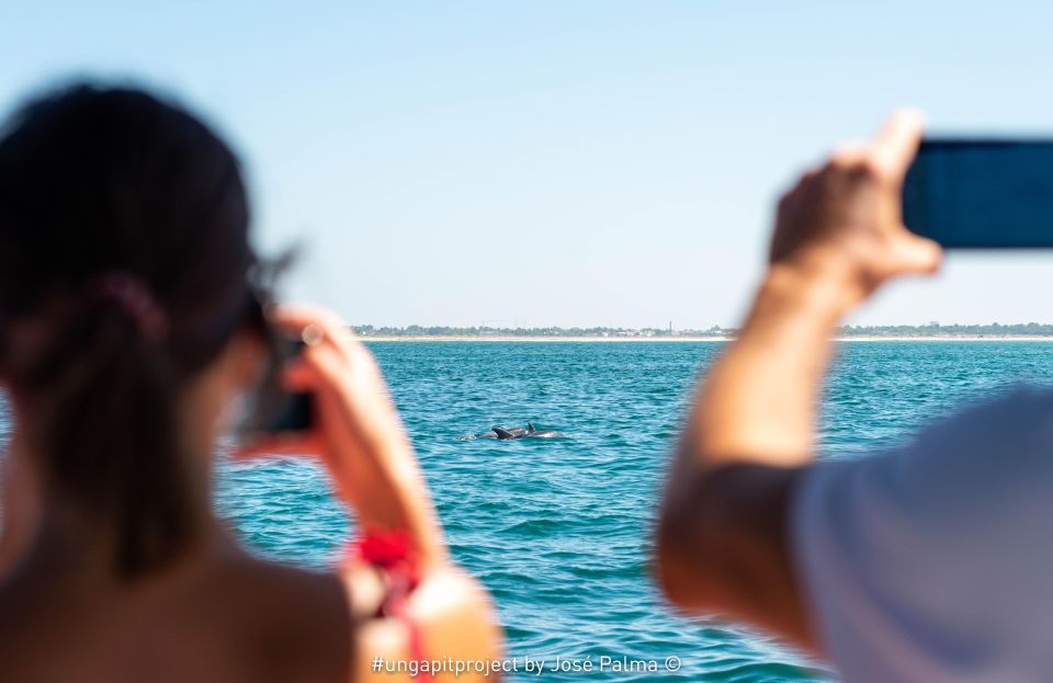 Setúbal: Dolphin Watching - Inclusions
