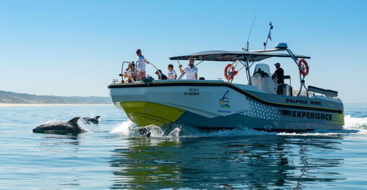 Setúbal: Dolphin Watching - Customer Reviews