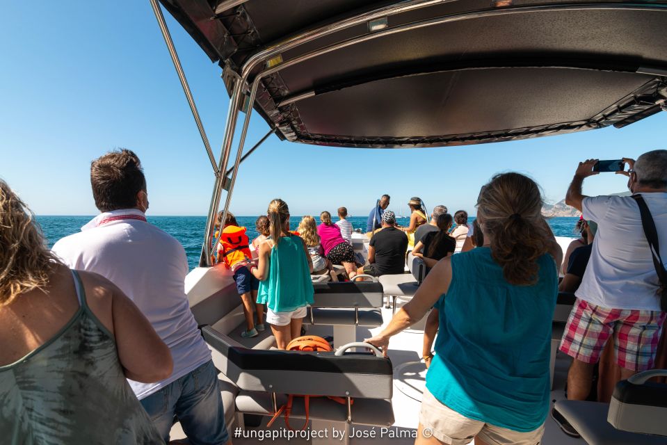 Setúbal: Dolphin Watching - Frequently Asked Questions