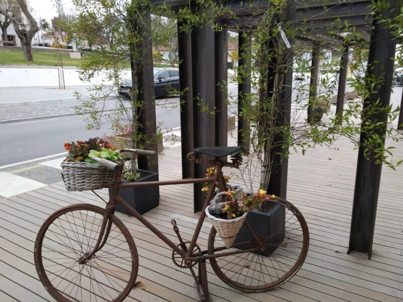 Setúbal: Market, Tiles and Wine (From Lisbon) - Scenic Drive in Serra da Arrábida