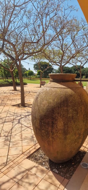 Setúbal: Private Tour with Wine Tasting and Tile Factory - An In-Depth Look at the Tour Experience
